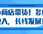 微信小商店带货,爆单多倍收入,长期复利循环!日赚300-800元不等-聚富社