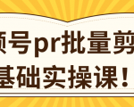 视频号PR批量剪辑0基础实操课,PR批量处理伪原创一分钟一个视频【共2节】-聚富社