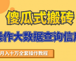 搬砖操作大数据查询信用项目赚钱教程,祝你快速月入6万-聚富社