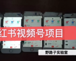 野路子小红书视频号1.0项目,直接上手操作就能赚钱的视频号项目-聚富社