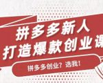 拼多多新人打造爆款创业课:快速引流持续出单,适用于所有新人-聚富社