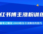 小红书博主涨粉训练营:一篇笔记爆涨10000粉及引流微信的技巧-聚富社