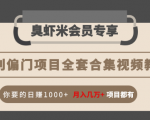 暴利偏门项目全套合集视频教程:你要的日赚1000+月入几万+项目都有-聚富社