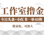 工作室撸金二件套：撸今日头条原创收益+小红书一单利润40块项目-聚富社