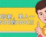 Paypal拉新赚美刀项目，单人一天利润500-1000刀【视频课程】-聚富社