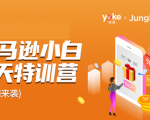 雨课·亚马逊小白特训营第9期 跨境电商挺赚钱的 有朋友已经月入几十万美金-聚富社