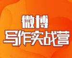 村西边老王·微博超级写作实战营,帮助你粉丝猛涨价值999元-聚富社