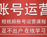 短视频账号运营课程:从话术到短视频运营再到直播带货全流程,新人快速入门-聚富社
