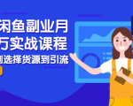 2021闲鱼副业月入过万实战课程:从开店到选择货源到引流,全程实战教学-聚富社