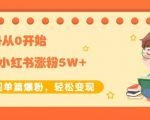 生财小红书涨粉变现:新账号从0开始3个月小红书涨粉5W+实现单篇爆粉-聚富社