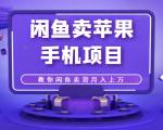 闲鱼卖苹果手机项目,教你闲鱼卖货月入上万-聚富社