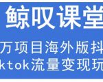 鲸叹号·海外TIKTOK训练营,百万项目海外版抖音tiktok流量变现玩法-聚富社