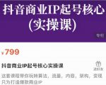 抖音商业IP起号核心实操课,带你玩转算法,流量,内容,架构,变现-聚富社