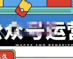 零零已久·从0-1运营公众号,零基础小白也能上手,系统性了解公众号运营-聚富社