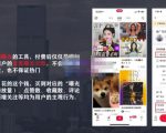麦子互娱短视频带货·0基础做好物分享账号,无需出镜无需货源无需拍摄-聚富社