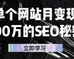 单个网站月变现100万的SEO秘密,百分百做出赚钱站点-聚富社
