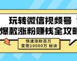 玩转微信视频号爆款涨粉赚钱全攻略,快速涨粉百万变现万元秘诀-聚富社