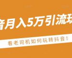 老古董·抖音月入5万引流玩法,看看老司机如何玩转抖音(附赠:抖音另类引流思路)-聚富社