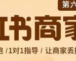 贾真-小红书商家营第6期商家版,21天带货陪跑课,让商家丢掉付流量-聚富社