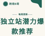 【跨境B哥】独立站潜力爆款选品推荐，测款出单率高达百分之80-聚富社