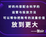 张sir账号流量增长课,告别海王流量,让你的流量更精准-聚富社
