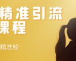 soul精准引流系列课程,每天引流100精准粉-聚富社