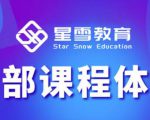 星雪教育淘系高级班，更全的运营提升方案，零基础由浅入深，店铺最新玩法-聚富社