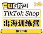 TikTokShop出海训练营(第十三期),打开全球流量新思维,出海抢占全球新流量,一店卖全球-聚富社