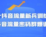Peter抖音流量新兵训练营-破解抖音流量密码群爆训练营(新兵)-聚富社