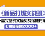 凌童《新品打爆实战班》,一套完整的实操实战落地方法,打爆链接超2000+(28节课)-聚富社