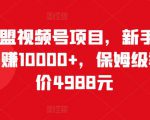 猎人联盟视频号项目,新手0基础轻松月赚10000+,保姆级教程原价4988元-聚富社