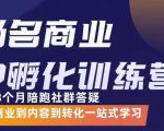 杨名商业IP孵化训练营,从商业到内容到转化一站式学 价值5980元-聚富社