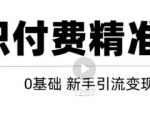 玩转知识付费项目精准引流,给你1套课多账号操作落地方案!-聚富社