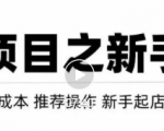 虚拟项目快速起店模式,0成本打造月入几万虚拟店铺!-聚富社