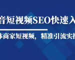 抖音短视频Seo搜索排名优化新手快速入门教程,实体商家短视频,精准引流实操课-聚富社