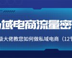 私域电商流量密码:千万级大佬教您如何做私域电商(12节课)-聚富社