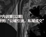 新媒体IP内训营(12期),一套全新的“公域引流,私域成交”IP打法,直接带走-聚富社