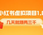 《小红书虚拟项目1.0》账号注册+养号+视频制作+引流+变现,几天就赚两三千-聚富社