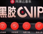 网易云音乐撸黑胶年卡及变现方法，收益可无限放大-聚富社