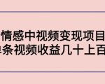 副业孵化营第5期:抖音情感中视频变现项目孵化 单条视频收益几十上百-聚富社