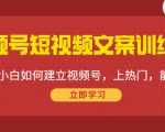 视频号短视频文案训练营:0基础小白如何建立视频号,上热门,能卖货!-聚富社