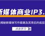 新媒体商业IP3.0,全面揭秘新媒体写作套路及其背后的底层逻辑(价值1299元)-聚富社