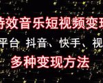 黄岛主《粒子特效音乐短视频变现项目》主攻平台抖音、快手、视频号多种变现方法-聚富社