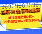21天视频号变现特训营:单视频播放量2亿+3个月涨粉30w+变现20w+(第14期)-聚富社