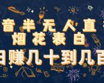 抖音半无人直播烟花表白,日赚几十到几百(教程+视频模板素材)-聚富社