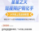 瑶瑶·自然流短视频IP孵化第二期,14天线上实战训练营,赋能100个人成为有数据能赚钱的独立IP孵化手-聚富社