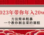 韭菜-联盟·2023年带你年入20w+方法简单粗暴,一个教你割韭菜的课程-聚富社