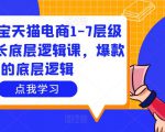 大圣淘宝天猫电商1-7层级盈利增长底层逻辑课，爆款的底层逻辑-聚富社