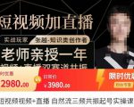 张越·短视频+直播,自然流三频共振起号实操课,短视频所有流量玩法讲解-聚富社