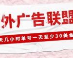 外面收费1980的最新国外LEAD广告联盟搬砖项目,单号一天至少30美金【详细玩法教程】-聚富社